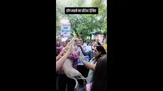 बच्चों की तरह डॉग को गोद में उठाकर दिल्ली में प्रोटेस्ट | Dog Lovers | SHORTS