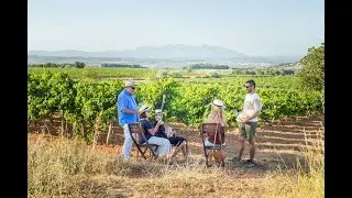 Penedes Wine Tour: Organic Cava and Wine Tour near Barcelona