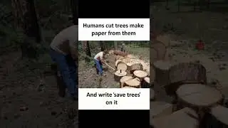 save paper save trees              #savetrees #savelife #savepaper #like #subscribe #support #assam