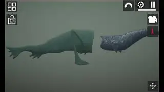 Sea eater melon sandbox