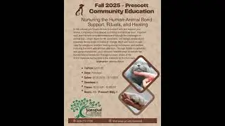 Nurturing the Human Animal Bond: Support, Rituals, and Healing