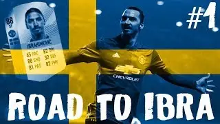 ROAD TO IBRA #1