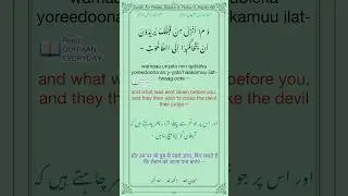 #allah #muhammad #islam #quran #reading #daily #recitation #trending #islamic #youtube #shorts