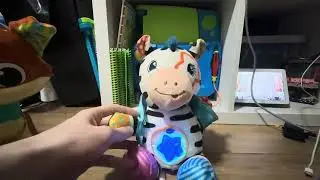 VTech Lights & Stripes Zebra Startup