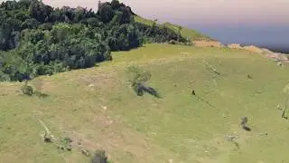 Drone 3D Amazon Forest model -  Fly map - Acre Resex Chico Mendes