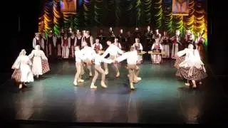 LSMU tautinių šokių ansamblis 