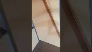 Dům zvuru nohama👌