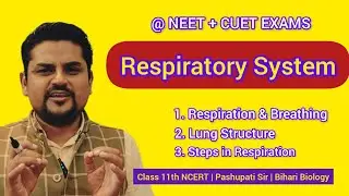 L1: Human Respiratory System | Class 11 | NEET  and CUET EXAMS | Pashupati Sir