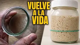 &iquest;Tu Masa Madre tiene l&iacute;quido negro? Mira esto ANTES de tirarla