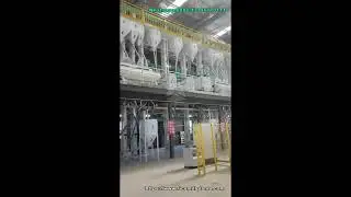 200T/D Rice Milling Plant | All-in-One System from Paddy to Packaged Rice #RiceMillPlant