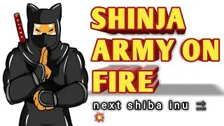 #shibnobi SHINJA ARMY ON FIRE | HOTBIT LISTED TODAY | SHIBNOBI