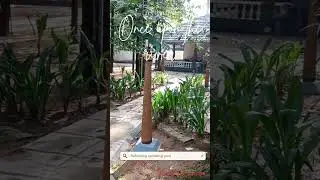 Once Upon The River: Kerala Aluva Resort #keralaresorts #peaceful #peacefulvibes #familytime