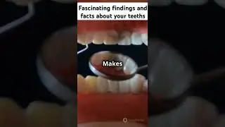 Fascinating finding and facts about the human teeth #dentalfacts #healtheducation #teeth #shorts