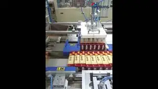 Pick & Place Case Packer System (Case of Biscuit 1)