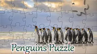 Penguins puzzle