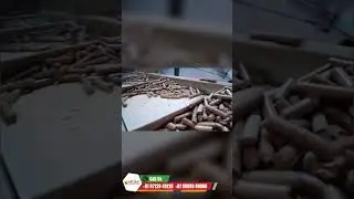 Advanced Ring Die Rice Husk Pellet Plant | Automatic Stone Separator & Feeding System #pelletmachine