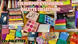 COLOURPOP EYESHADOW PALETTE COLLECTION || EYESHADOW PALETTE COLLECTION 2025 INDIA !
