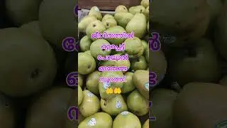 ഈ സൂറത്ത് ഓതിയാൽ 🤲🤲 #shortfeed #motiationalspeech #islamicspeech