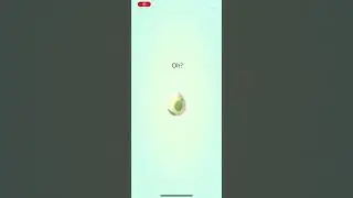 Pok&eacute;mon GO: Hatching a Shiny Wynaut???!!!