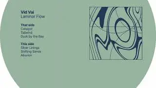 Vid Vai - Shifting Sands