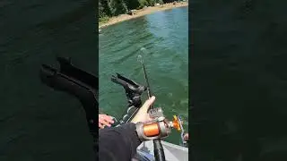 Part 2 K-14 KwikFish Catches Huge Sturgeon #pnwfishing #sturgeon #fishing #willametteriver