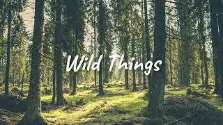 [FREE] Luke Combs Country Type Beat (prod. caleb avery) | wild things
