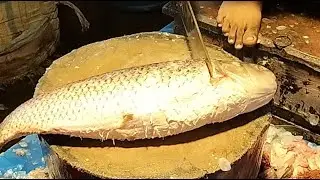 🔴 Live Fish Cutting ASMR | Fresh Seafood Processing from Market | For USA & Europe Viewers