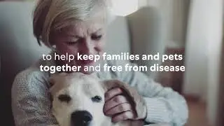 Healthy Pets and Happy Homes In the Times of Coronavirus
