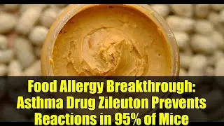 Food Allergy Breakthrough: Asthma Drug Zileuton Prevents Reactions in 95% of Mice