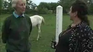 HARPS Horses for Adoption PART 2