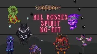 All bosses | spirit No-Hit