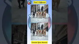 It&rsquo;s #hard for me to #find the #differents between all #dogs 🤷&zwj;♂️ Can You ?