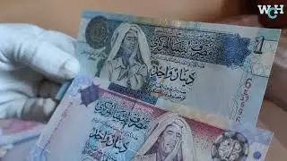 Sorting Commemorative Bank Note collection Unboxing World Currency coin Hub @worldcurrencyhunt