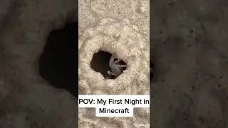 First Night in Minecraft #minecraft #meme #survival