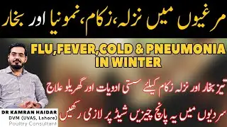 Treatment of Cold, Flu, Fever & Pneumonia in Chickens in Winter | Cheap Medicines & Home Remedies