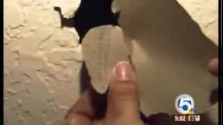 Chinese drywall problems in PBC