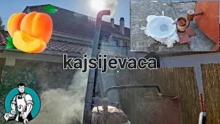 PECENJE NAJLEPSE RAKIJE !! ( KAJSIJA )