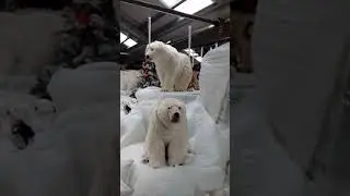 Winter 2017 Christmas Scene of Polar Bears at Wyevale Garden Centre, Hereford