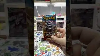 Mastering the set SV03 Ep.133 - Random Packs Opening #pokemoncommunity #pokemon #pokemontcg