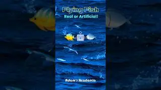 𝐅𝐥𝐲𝐢𝐧𝐠 𝐅𝐢𝐬𝐡 🐟: Real or Fake? 🤖🌊 | 𝗔𝗜 vs 𝗡𝗮𝘁𝘂𝗿𝗲 Explained!  #shorts