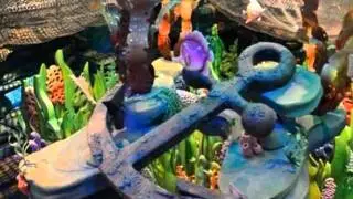 Explore the Mermaid Lagoon
