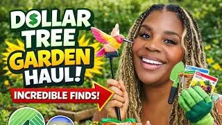 DOLLAR TREE GARDEN HAUL 🌱 | Grow a Beautiful Garden on a Budget!
