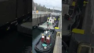 Tug boat in Seattle Locks Part 2 #boats