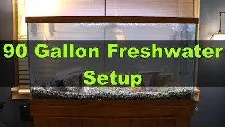 Setting Up the 90 Gallon Freshwater Tank