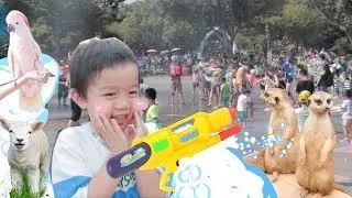 [樂園] 小陶德去六福村打水戰！看可愛動物坐旋轉木馬好好玩！Animal Zoo Theme Park Play | 沛莉