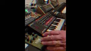 Mani and the Nonos - Singularity - Strymon Brig/Cloudburst/Roland ACB/ZEN-Core