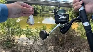 Targeting big gar with huge baits! (Tons of ladyfish)