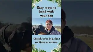 Great ways to bond with your dog! #dog #podcast #education #yourdog #positivevibes #tipsandtricks