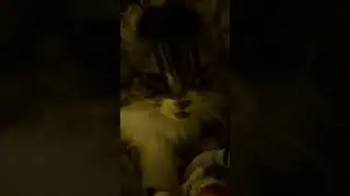 暗闇ベロちるさん🌃