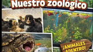 Vengan a conocer el zoologico en esta Granja!